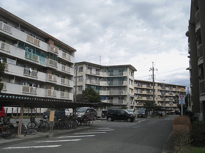 IMG_8548.jpg