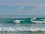 RD_49_surfin.jpg