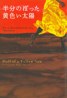 halfofayellowsun.jpg