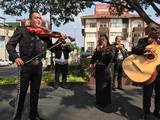 mariachi_1.jpg